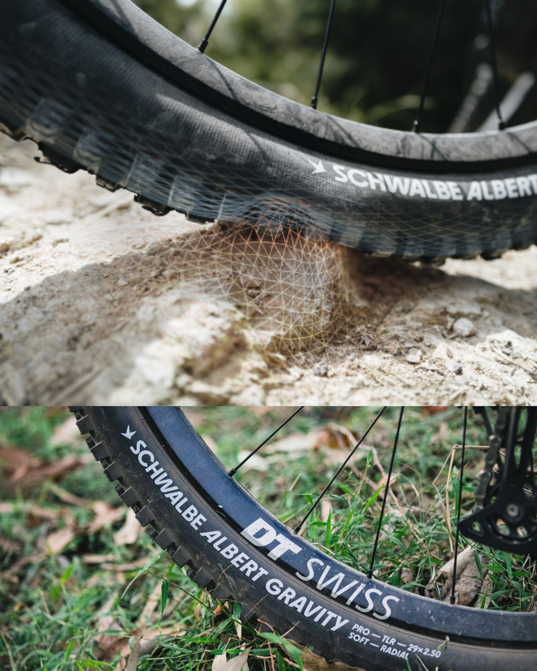 Llantas Schwalbe Albert Gravity Pro Addix Ultra Soft Radiales 29x2.50