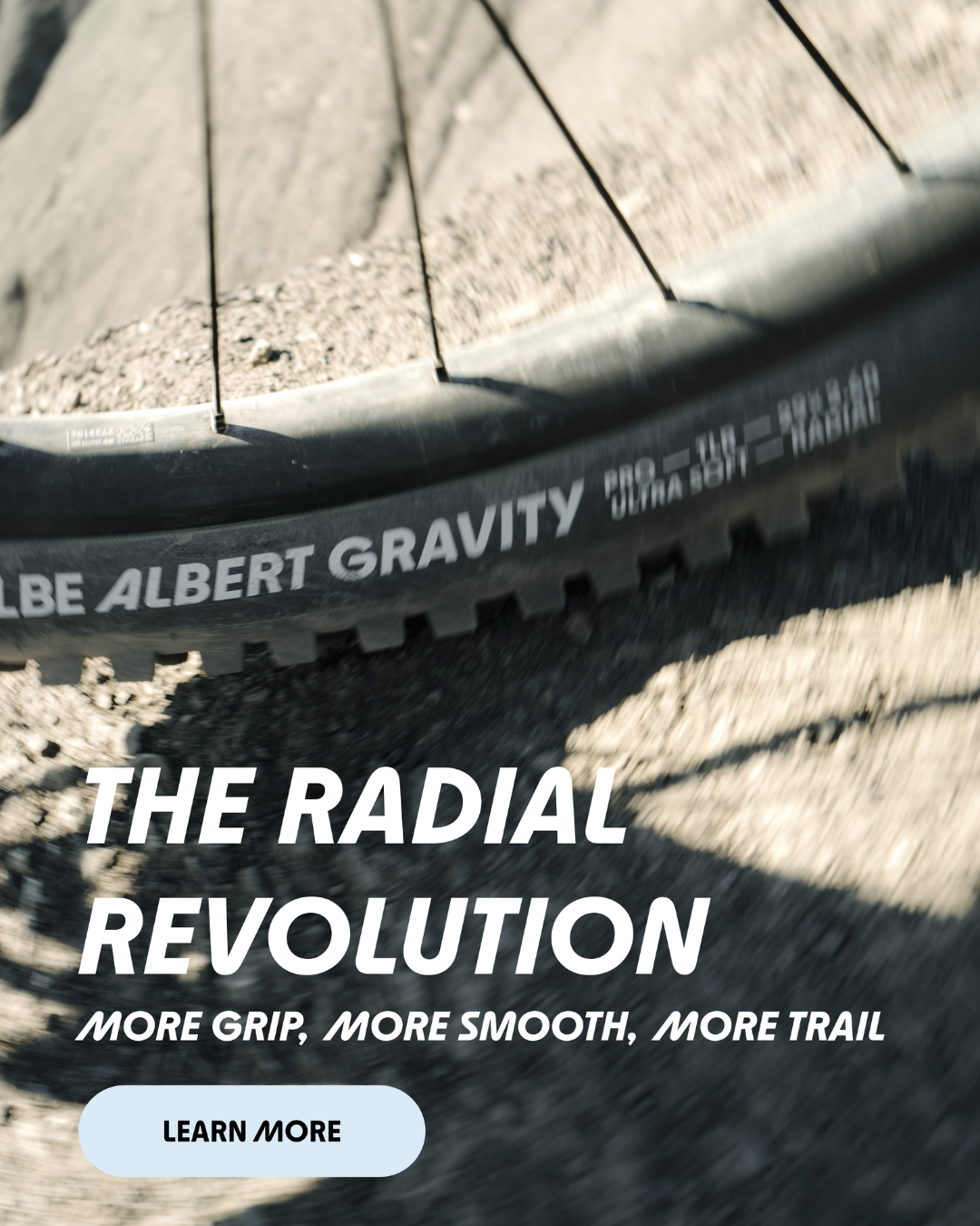 Llantas Schwalbe Albert Gravity Pro Addix Ultra Soft Radiales 29x2.50