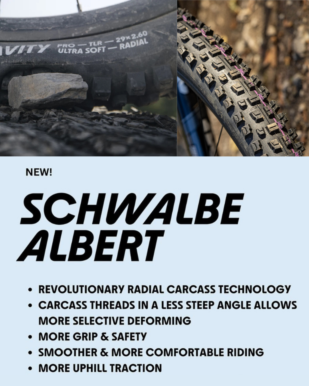 Llantas Schwalbe Albert Gravity Pro Addix Ultra Soft Radiales 29x2.50