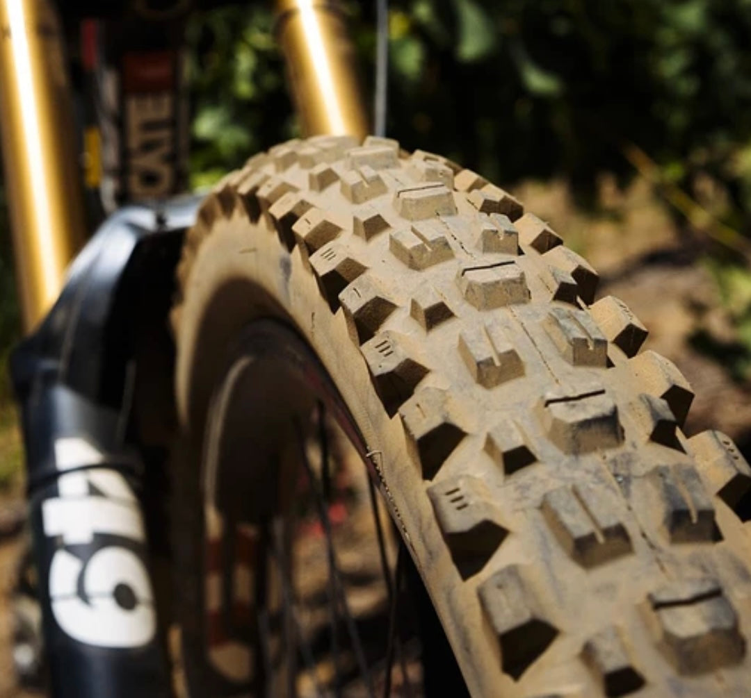 Llantas Maxxis Assegai Double Down 3CMaxgrip TB 29 y 27.5