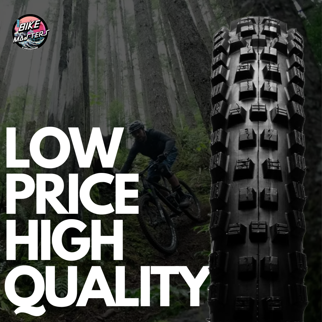 Llantas Schwalbe Magic Mary 29x2.40 Folding TBR