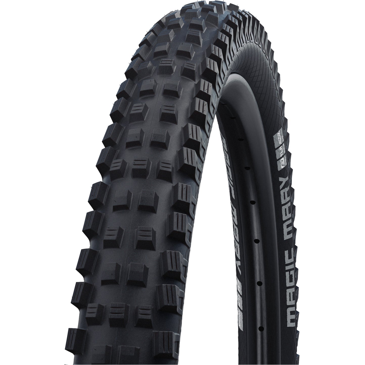 Llantas Schwalbe Magic Mary Folding TBR